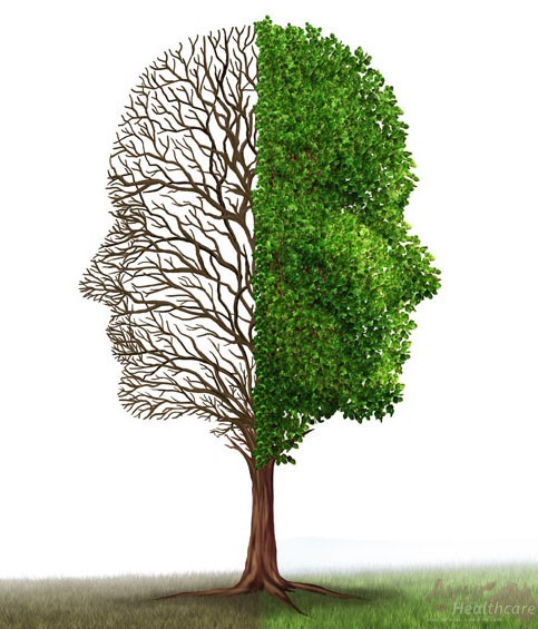 Ayurvedic Treatment For Bipolar Disorder Manic Depression Ayur Healthcare