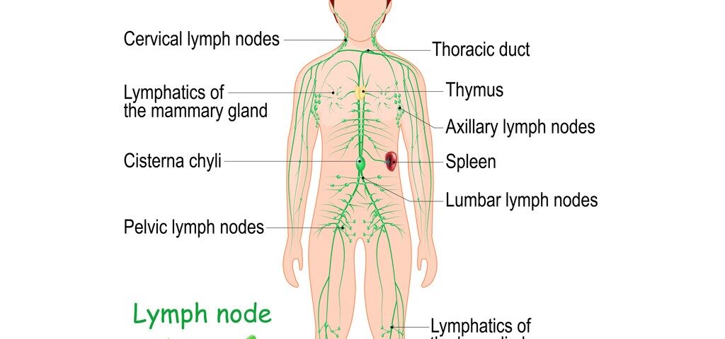 best Lymphatic drainage massage in Sydney