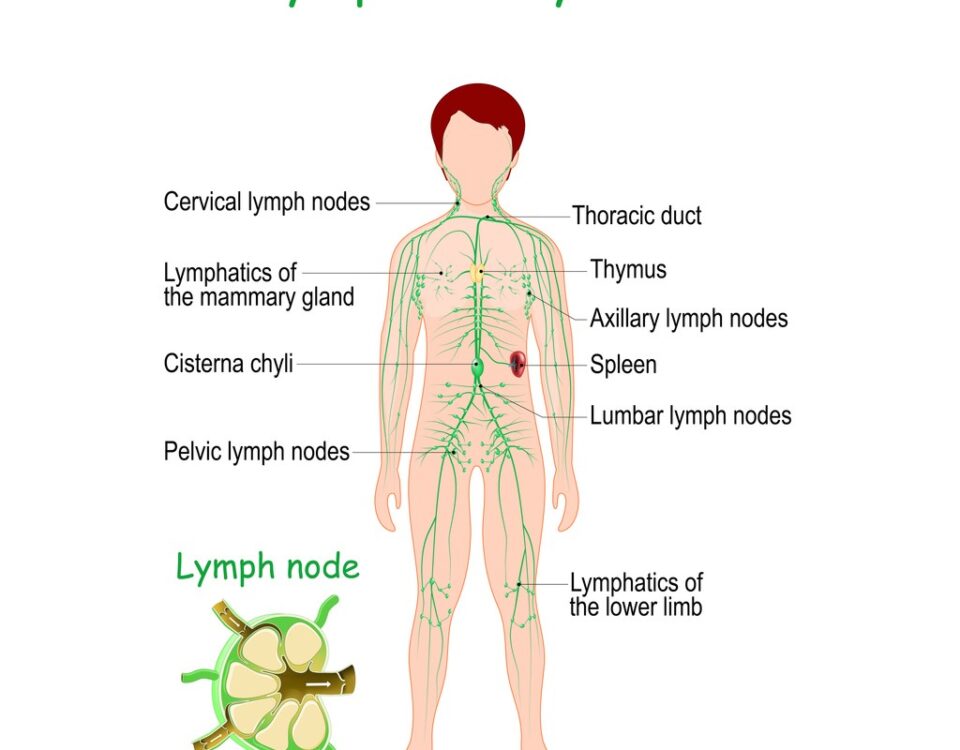 best Lymphatic drainage massage in Sydney