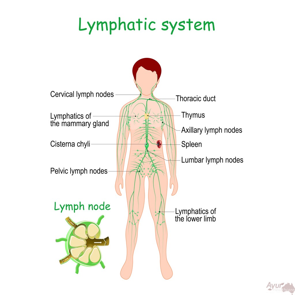  Lymphatic Drainage Massage