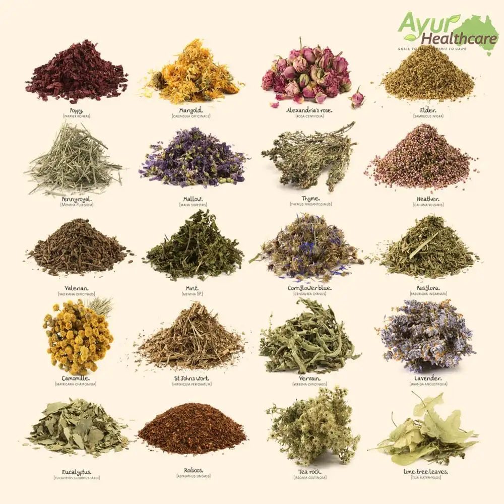 Ayur Healthcare Ayurveda – Paraamatta, Sydney