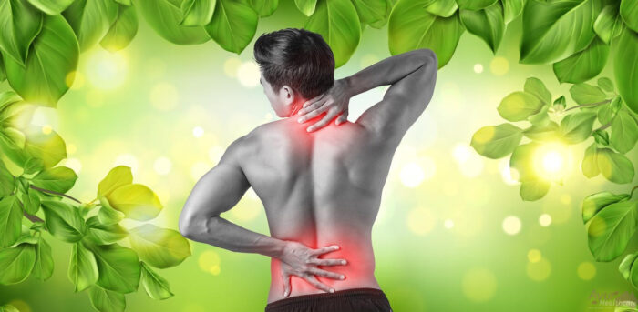 Back pain relief Package